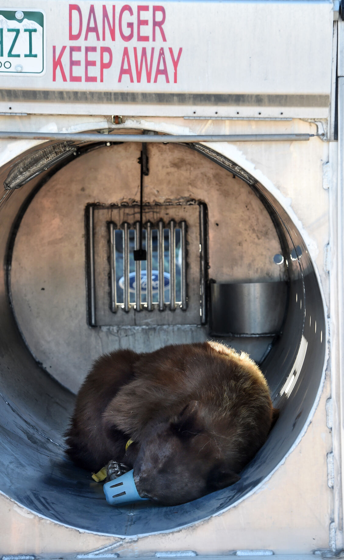 043121-news-bear 16.JPG